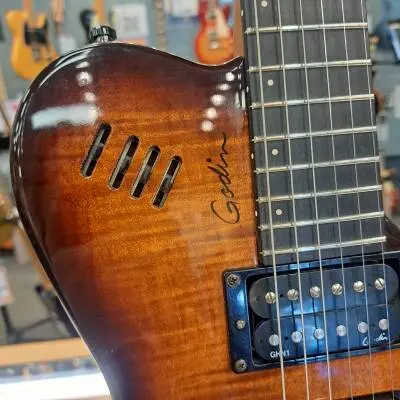 Store Special Product - Godin XTSA